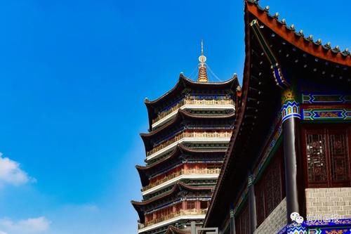 冬游记丨登东山寺，听蝉音鸟鸣