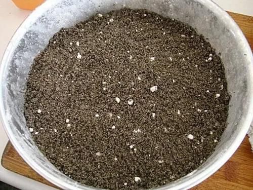 过年就馋这个小点心，香甜软糯，好吃又健康，做法超简单