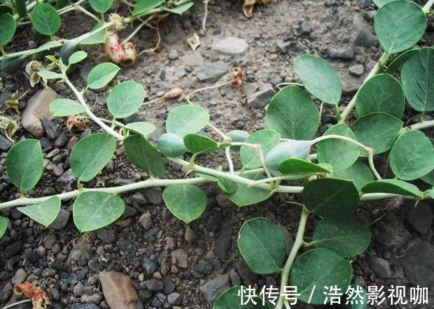 非物质文化遗产|外公一个小方法轻松解决，治疗风湿方法就在身边！