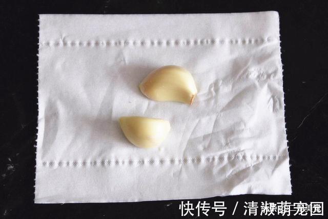 手纸|面粉开封之后容易生虫，教您一招，放久也不生虫，不怕吃不完了