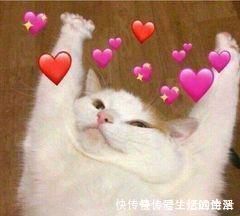 林信@三本耽美重生修仙甜宠文,完结无虐,he,强强双洁