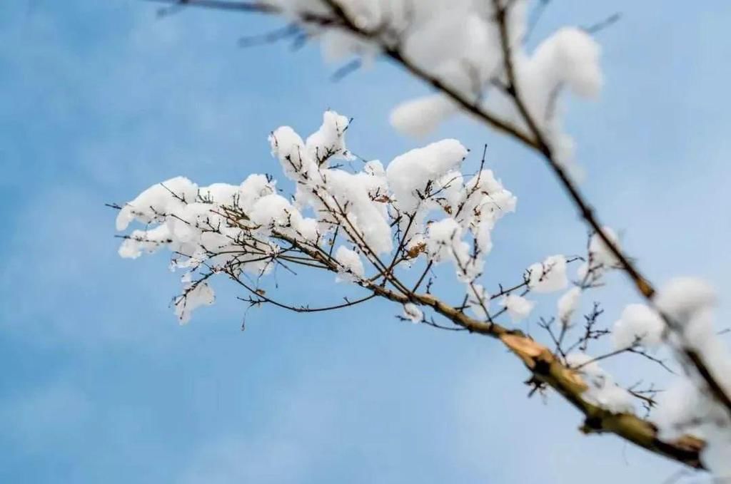 村庄|雪落炊烟暖