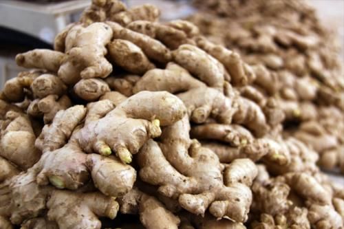 保存生姜很简单，姜农分享2个窍门，放一年不长芽，新鲜又饱满