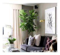 舒适|70㎡舒适两居,柜子的设计太赞了,轻松搞定全屋收纳,值得借鉴!