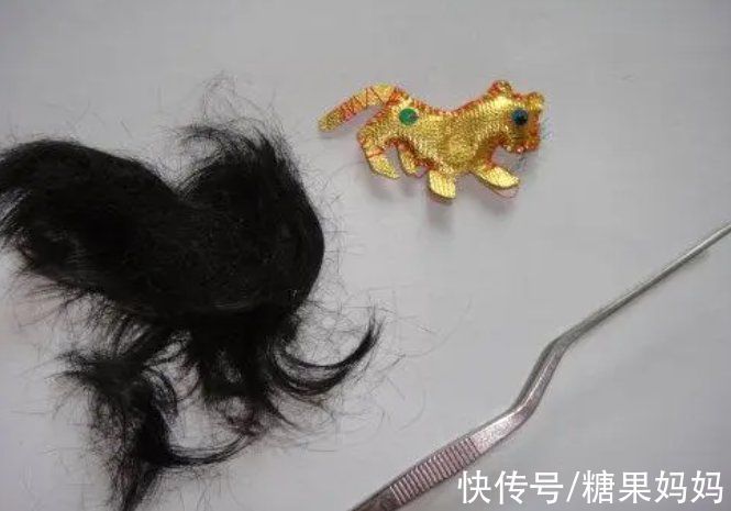 张兆艺|宝宝不剃胎毛长大招人烦?看似细软的胎发并非无用,家长酌情考虑