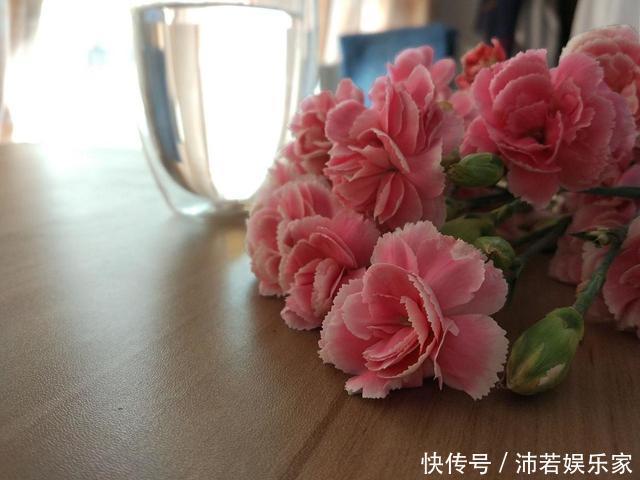 花花|这种花常被低估,一不小心开半年,送人也有面