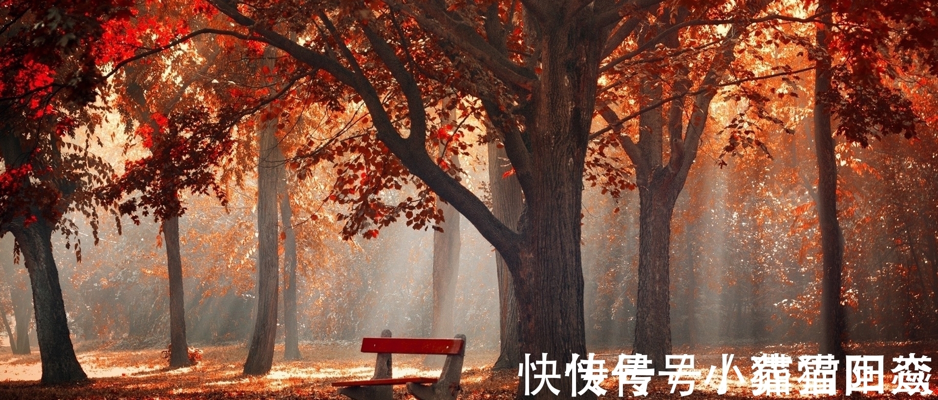 好景君须记&孟浩然28字唐诗记载初秋之景,成就唐诗当中最诗意的秋色