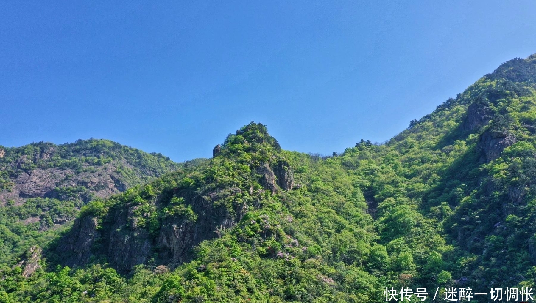 浙江有个登山的好去处，颜值全程在线，上海的母亲河发源于此