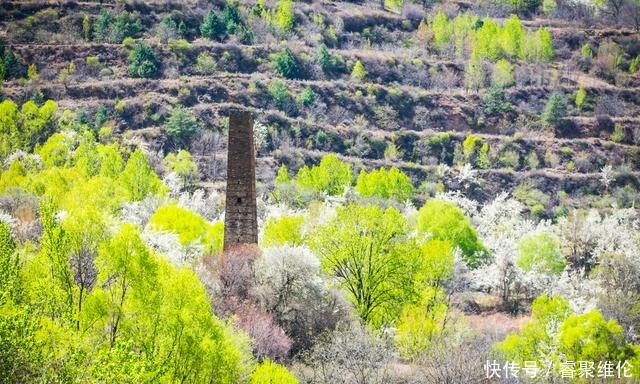 这里比甲居藏寨隐蔽，百年梨花开满山，仿若世外桃源