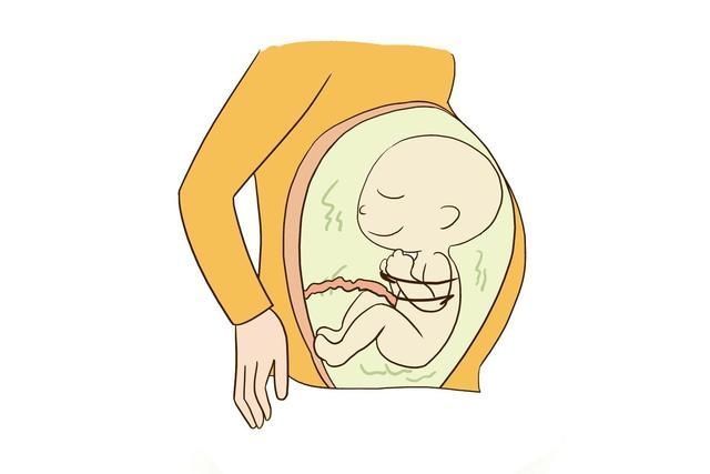 子宫|宝妈睡觉翻身时,胎儿在子宫里干嘛?你可能猜不到