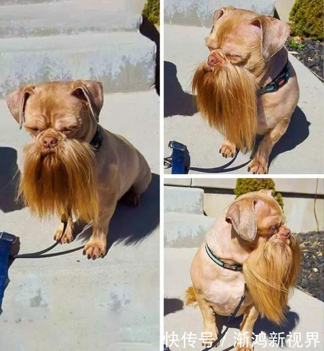 24张“活久见”生物照,仿佛来自另一个星球