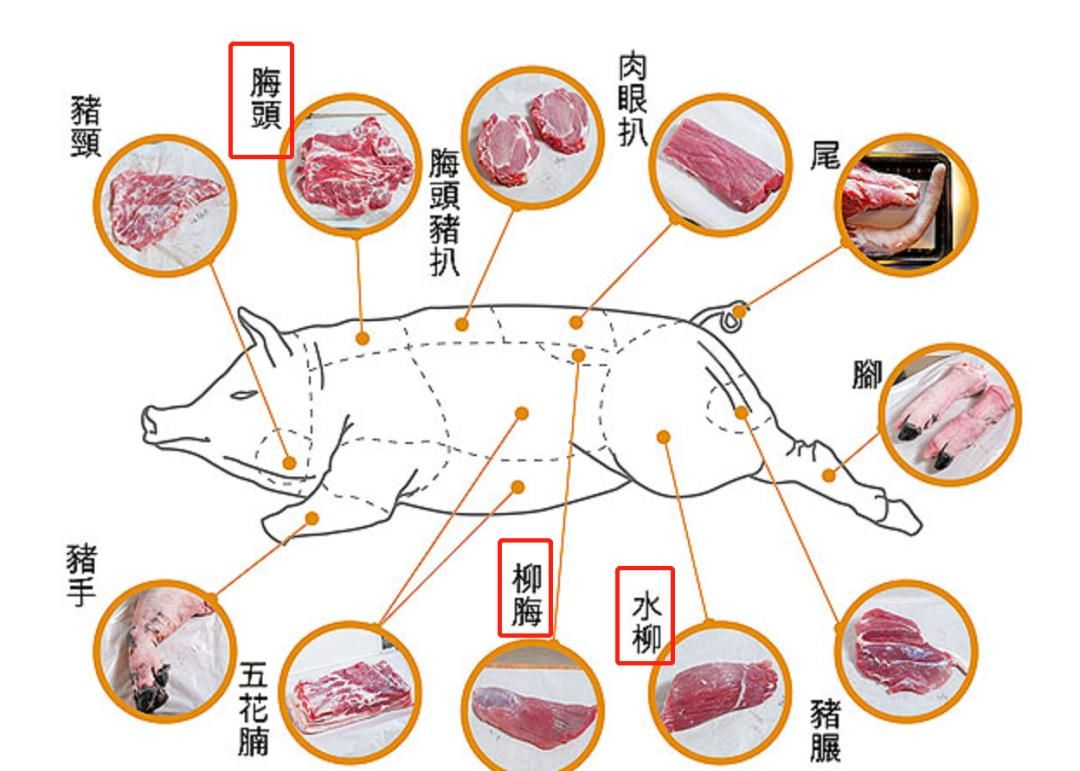  血虚|一碗民间滋阴养血的平补小方，2味食材，血虚、气虚、脾虚全补足