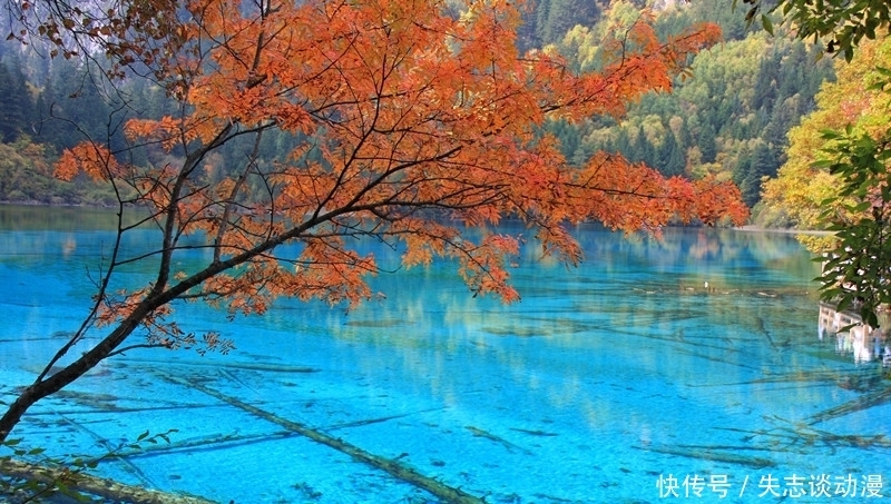 水洛城|韩琦论筑水洛城利害