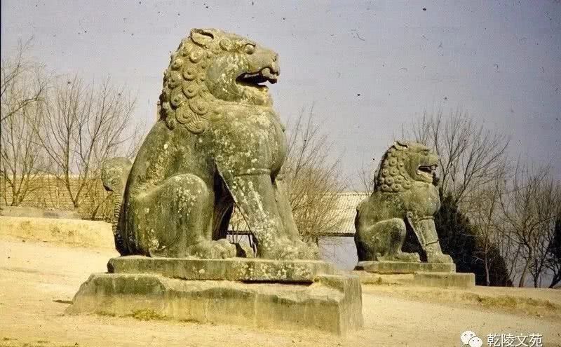 举世闻名|举世闻名的乾陵