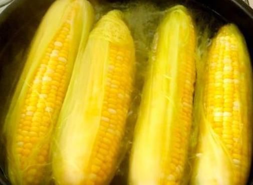黄曲霉菌|让人倒下的不是病，而是无知吃玉米有3个禁忌，很多人不知道