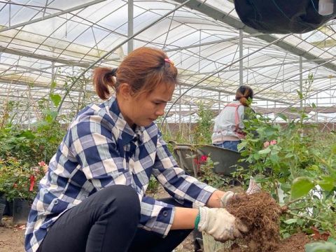 电商|物流提速增效 电商提前备货 沭阳：政企总动员迎战“双十一”