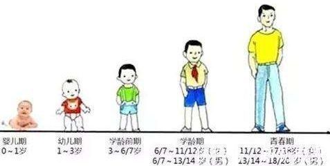 平均身高|男孩和女孩,长个“黄金期”是不同的,父母不能犯“致命”错误!