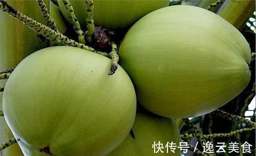 椰子|女性到了中年常吃几种食物,杀菌消炎,美容抗衰,延年益寿