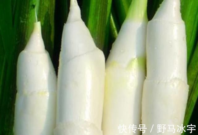 竹笋|专家建议吃豆腐不要和5种食物同食，要不进了医院还蒙在鼓中