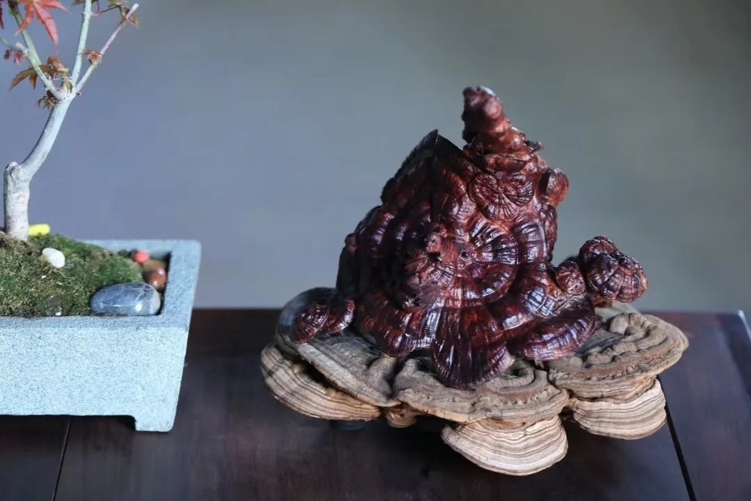 手串|想知道手中的海黄值不值钱,看这几点就够了!