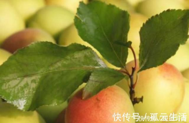 排毒养颜|女性想要身体好常吃四种食物，排毒养颜、滋润肌肤，早吃早健康