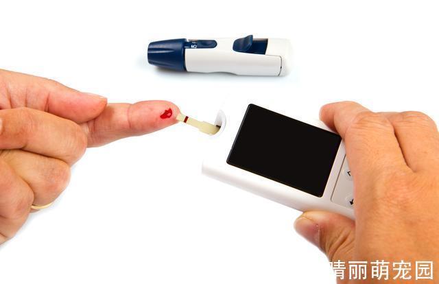 血糖水平|还在埋头扎手指?7款血糖监测新仪器拯救糖尿病患者