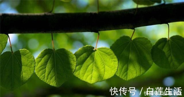 阳气|阳气不足，多是被你弄没的！这些习惯早戒掉，守住体内阳气