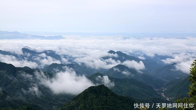 境遇|苏秦被车裂，张仪全身而退，两人境遇为何不同？鬼谷子已料到结局