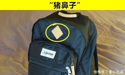 在生活中经常见到，但却无法准确说出名称的8个事物