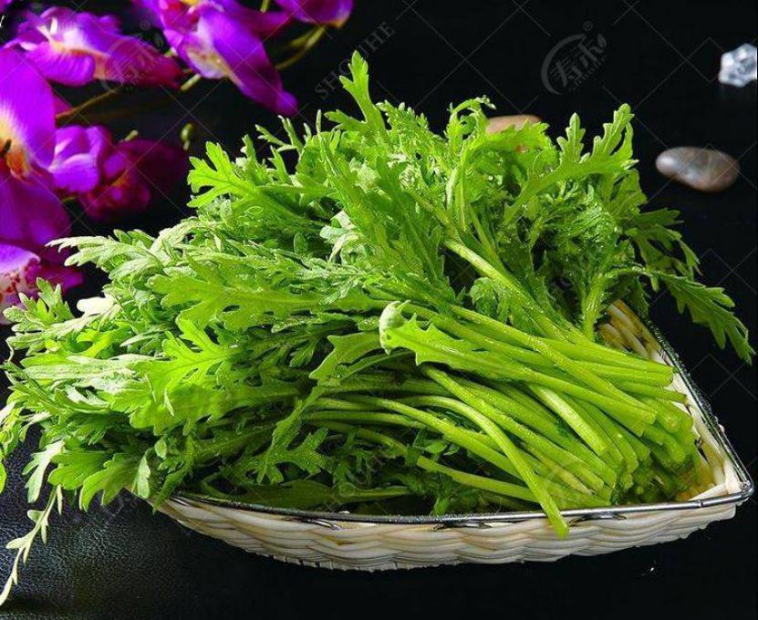 便秘|便秘的“根源”被发现,这5件事做到位,肠胃一通到底