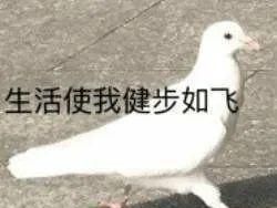 我买的这些平价化妆刷，随便一把都是千元质感!