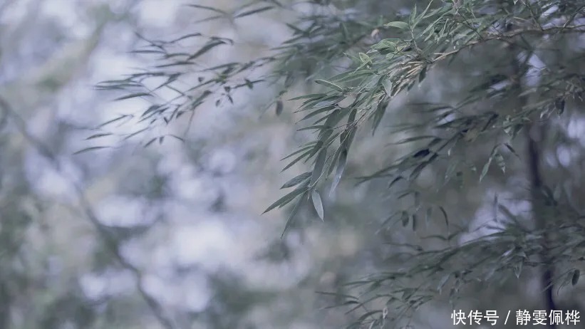 这首诗|刘禹锡被贬夔州,写下一首诗,最后7字一语双关惊艳千年