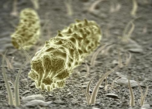  时间|药酒泡的越久越好？别让无知害了自己