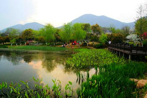 中年|杭州踏青的好去处，自古以来就是赏桃花胜地，可免费参观