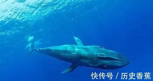 果冻|世界上的47个冷知识,您知道几个?
