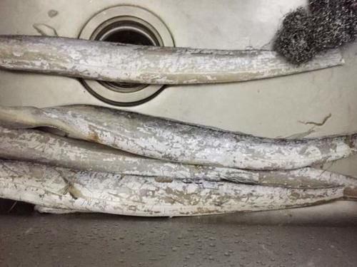  营养美味的红烧带鱼，是孩子的最爱，汤汁鲜美与米饭是好“搭档”