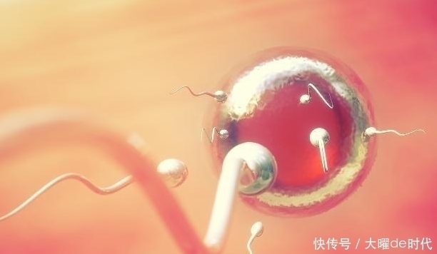 肾虚|男人想要肾好?平时多吃两口“它”,或许肾脏会“感谢”你