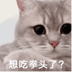 |搞笑图集:一个宿舍42个学生,网友:养猪都不敢这么养啊