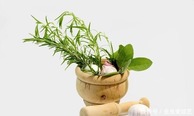 天呐!螨虫居然能在头上搞出那么多事,你是不是也中招了?