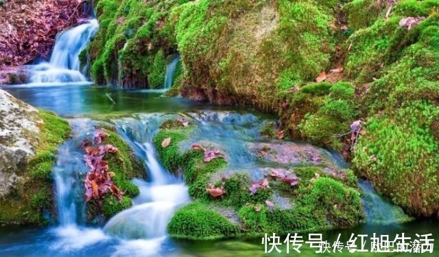 善报@厚道之人,必有厚福,善良之人,必有善报!