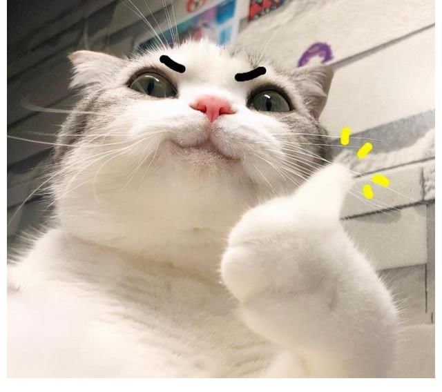 no3|i综艺人进!《夏日少年派》绝对是你爱的“下饭神器”