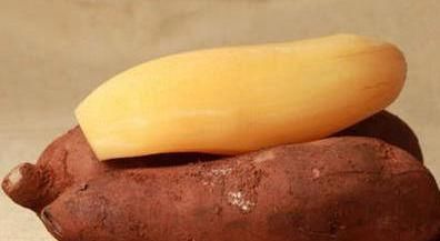 养颜|会吃的人更健康,3种食物离不开,排毒养颜、滋润身体!