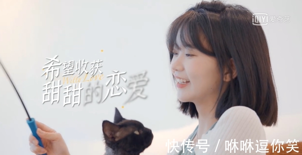 嘉賓|《機(jī)智的戀愛》開播,熱度沒有《心動(dòng)的信號(hào)》高,原因有3點(diǎn)