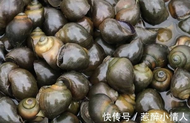 女子在水田里捡了一篮“田螺”，回家准备爆炒，邻居：快扔掉