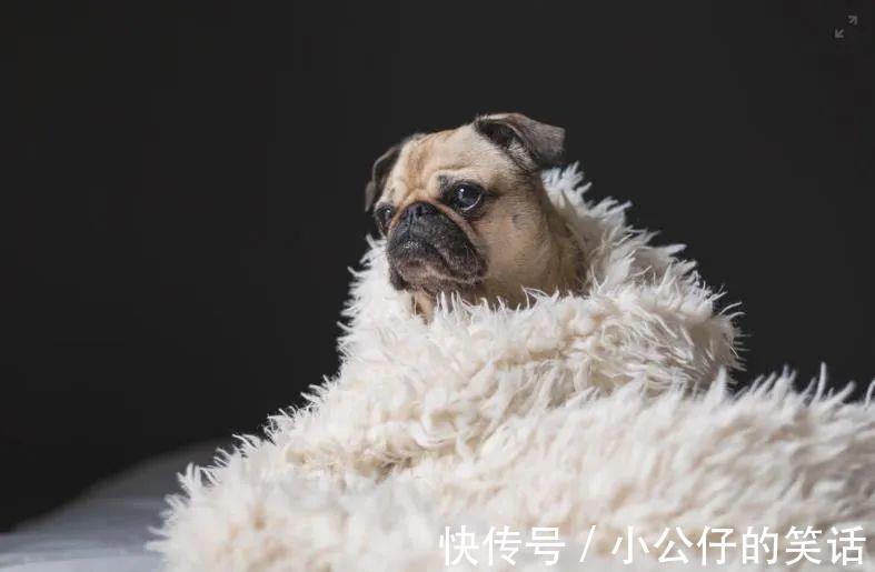 |今年最狠的四个段子!