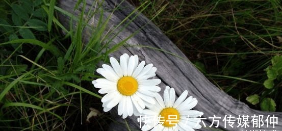 旧爱|8月末,痴心绝对,我心无悔,执着等待,坚定不移,旧爱终会回头