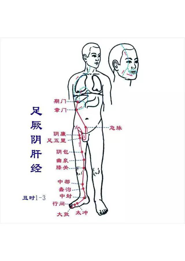 左腋|子宫肌瘤,甲状腺瘤,乳腺结节!都是肝经上的坏东西!养肝攻略请收好