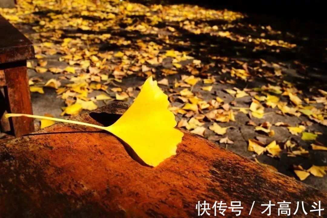 梦微之!白居易这首诗,是人最无能为力之事,读一次断肠一次