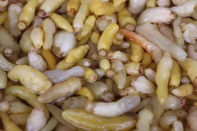 没得泡菜，丽江人真的吃不下饭！