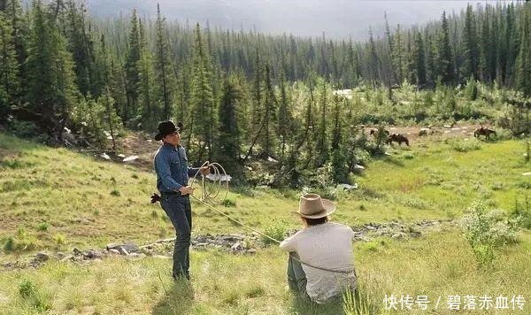  《断背山》讲的不是同性恋，而是爱